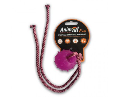 Іграшка AnimAll Fun куля з канатом, фіолетовий, 4 см 1377866948 фото