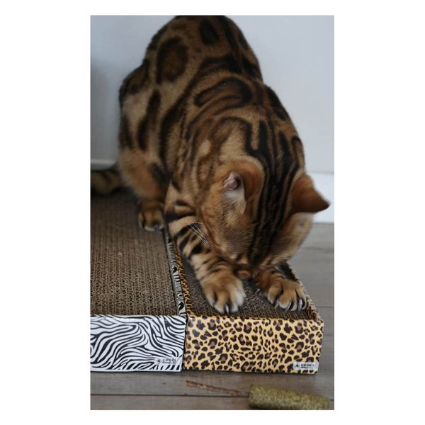 Когтеточка драпак царапка дряпка для кошек из гофрокартона CROCI ESSENCE (орех), 48х12х5 см C6021578 2093673403 фото