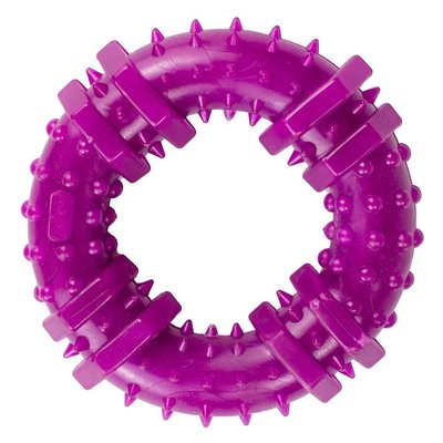 Іграшка для собак кільце з шипами AGILITY 12 см фіолетове PI0075 1699413133 фото