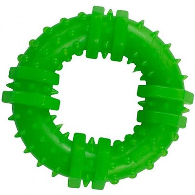 Іграшка для собак кільце з шипами AGILITY 12 см зелене PI0073 1699651774 фото