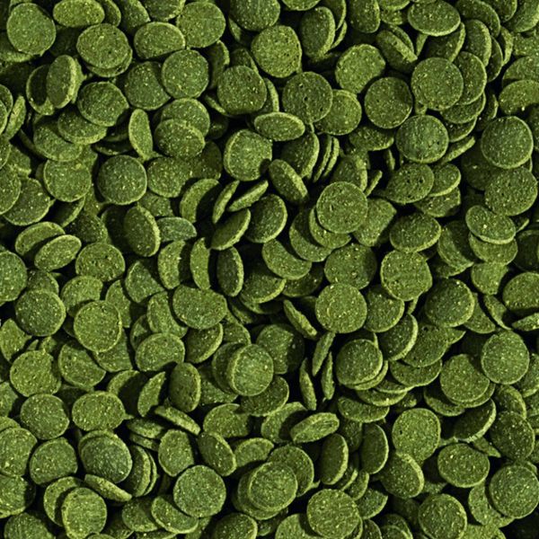 DAJANA SPIRULINA WAFERS Спец.Корм для донних травоїдних риб в таблетках/чіпсах 100 мл/40 г DP060А(5352) 1935217135 фото