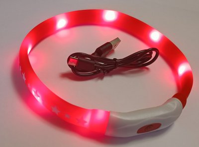 LED-ошейник AnimAll для собак (с подзарядкой USB) 0167 LED-S 40 см красный 1665528401 фото