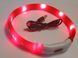 LED-нашийник AnimAll для собак (з підзарядкою USB) 0167 LED-S 40см червоний 1665528401 фото 1