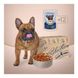 Вологий пауч для собак малих порід PREMIUM шматочки з яловичиною та овочами в соусі 85 гр CLUB 4 PAWS Selection 1735133323 фото 2