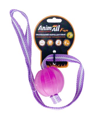 Игрушка AnimAll Fun мяч-тренинг со шлейкой, фиолетовый, 6 см 1389650568 фото