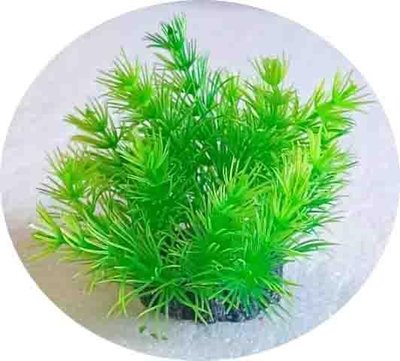 Растение пластиковое водоросли CROCI JAPANESE1/3 искусств. Декорация аквариумная до 8см A8011306 2196324146 фото