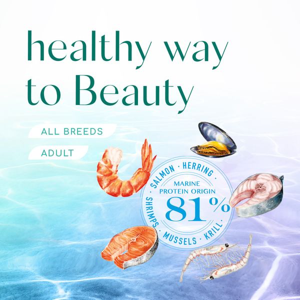 Optimeal Beauty Podium Shiny Coat & Dental Care Сухий корм з морепродуктами для дорослих собак усіх порід, 4 кг 1679132124 фото