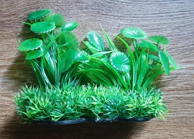 Растение пластиковое водоросли М601-М682 14-16 см зелёное5 1862793306 фото