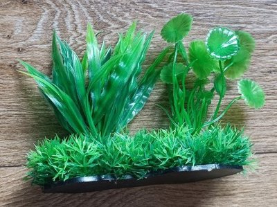 Растение пластиковое водоросли М601-М682 14-16 см зелёное1 1783692961 фото