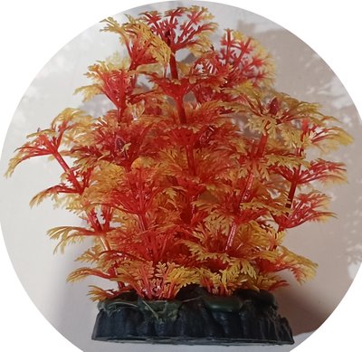 Рослина пластикова водорості CROCI TROPICAL PLANT, Декорація для акваріума червоне 8 см A8011152 2110615010 фото